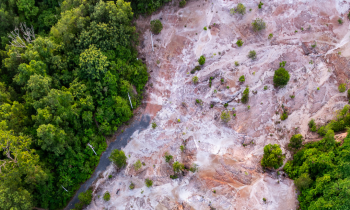 Lei do licenciamento ambiental entra em vigor com ações no STF